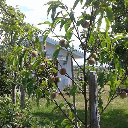Stuga I Gamla-Koepstad Traslovslage Kültér fotó